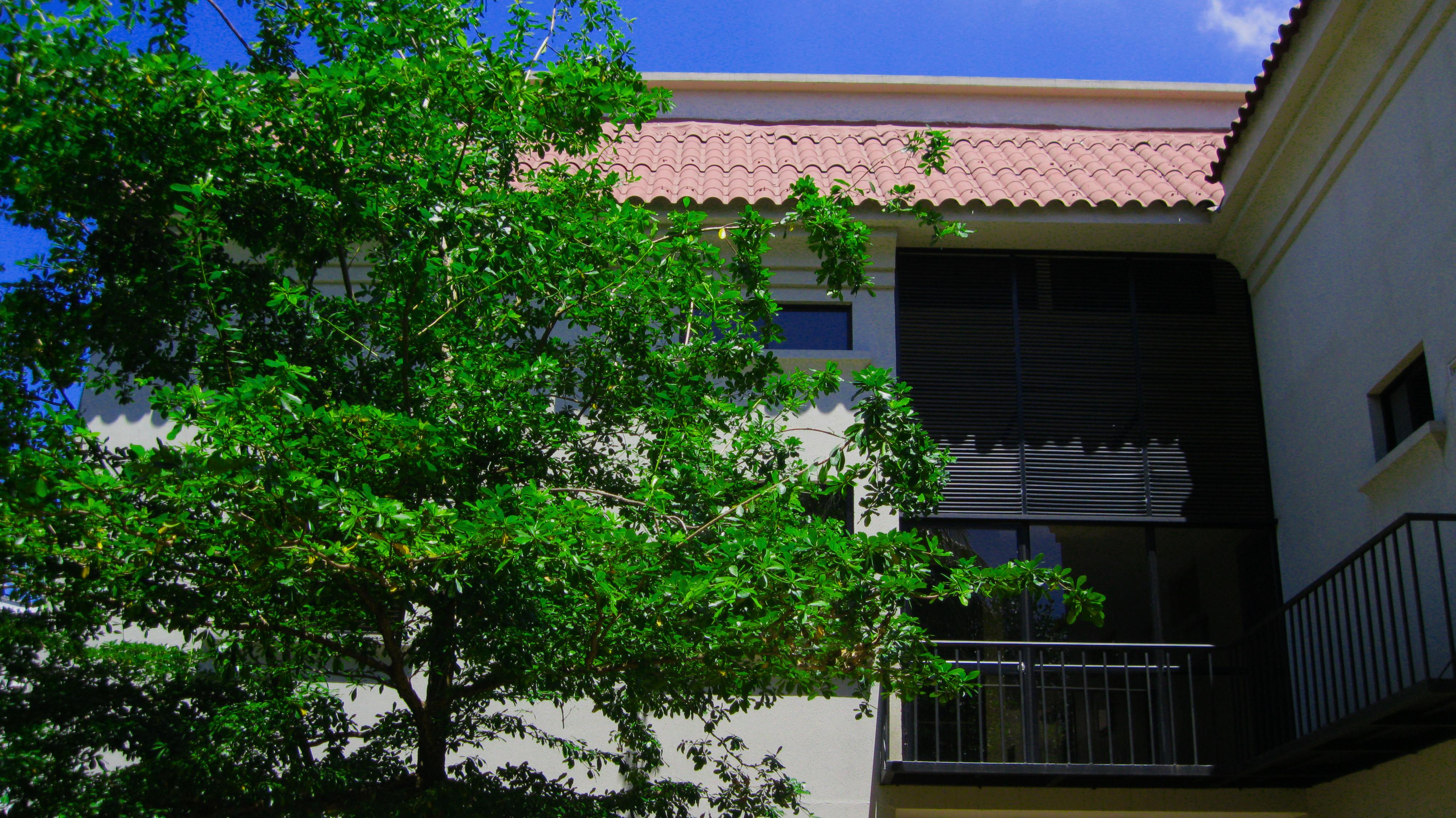 Apartterrazas Guayaquil -Suites&Lofts- المظهر الخارجي الصورة